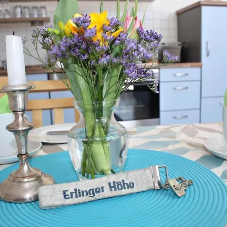Erholungsfuechse