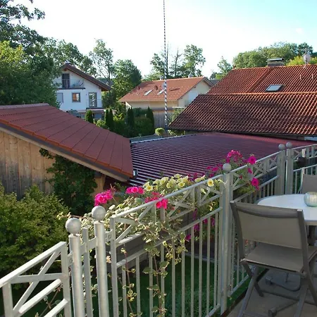 Erholungsfuechse