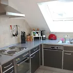 Erholungsfuechse *